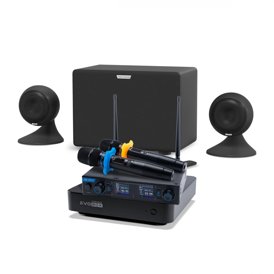 караоке-комплект EVOBOX + EvoSound Sphere 2.1 в Ленинградской области