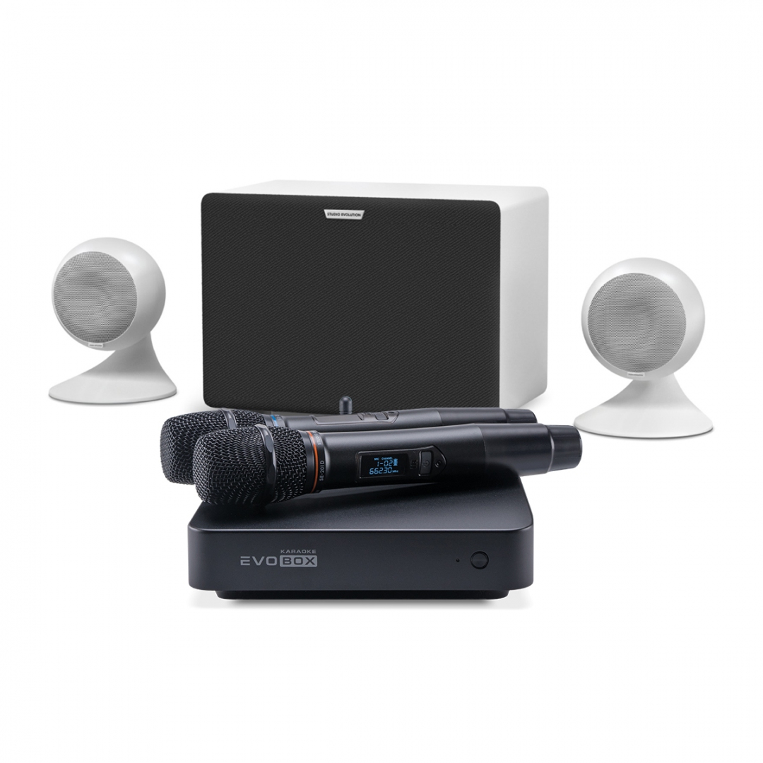 караоке-комплект EVOBOX Classic + EvoSound Sphere 2.1 в Ленинградской области