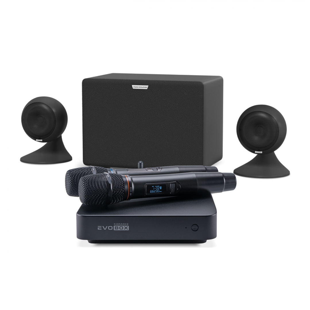 караоке-комплект EVOBOX Plus + EvoSound Sphere 2.1 в Ленинградской области