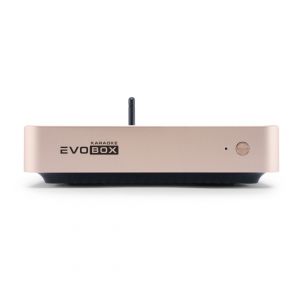 EVOBOX Plus караоке-система для дома в Ленинградской области